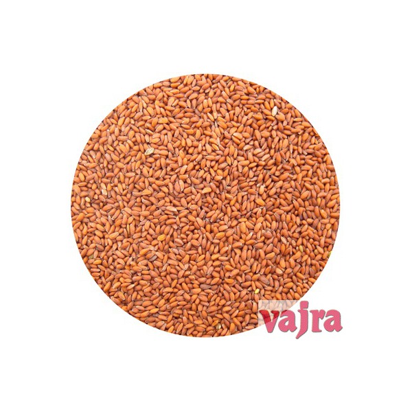 alfalfa a germer