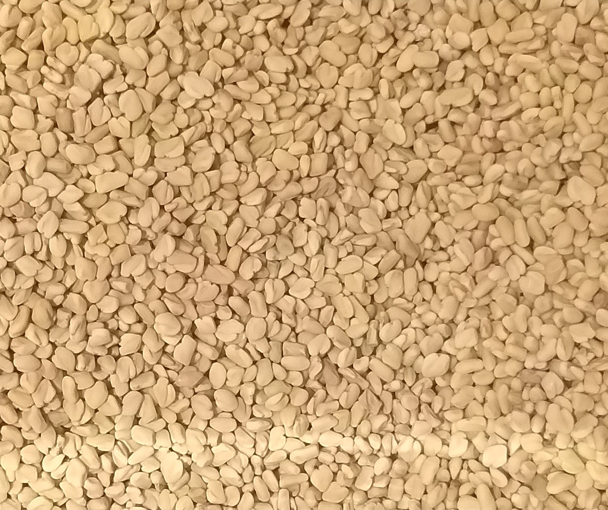 20210306 132247