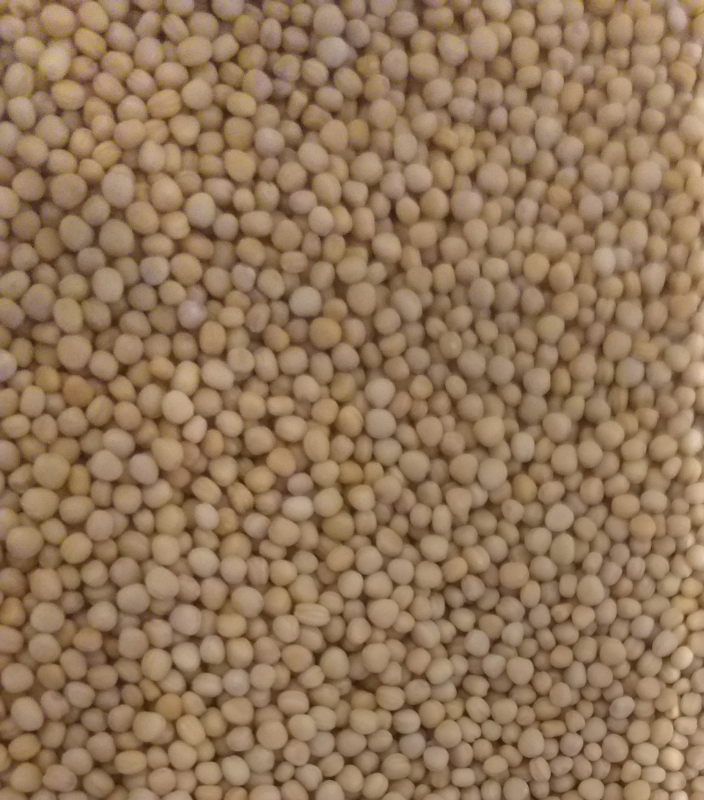 20210306 132308