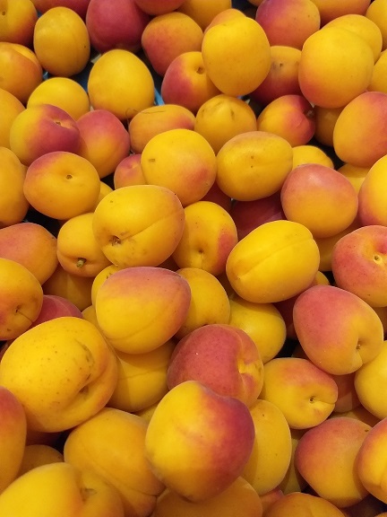 carottes