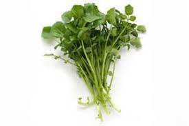 carottes