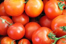 carottes