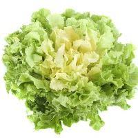 carottes