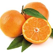 carottes
