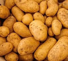 carottes
