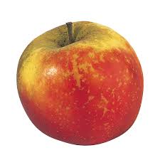carottes